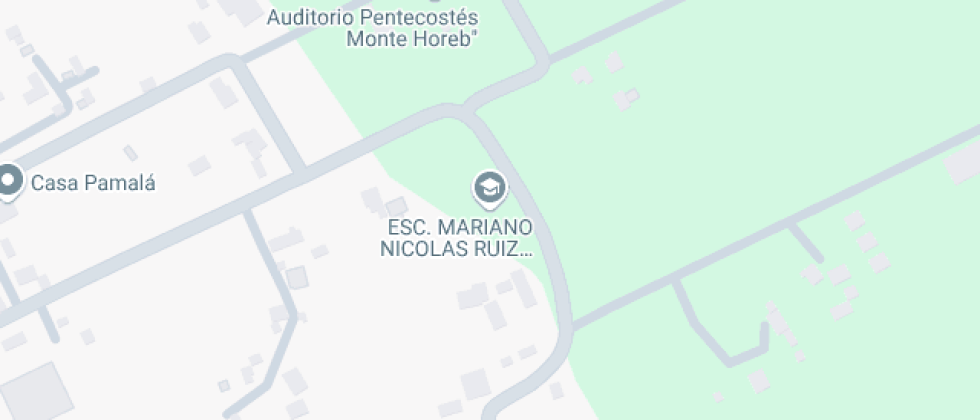 Mariano Nicolas Ruiz Suasnavar