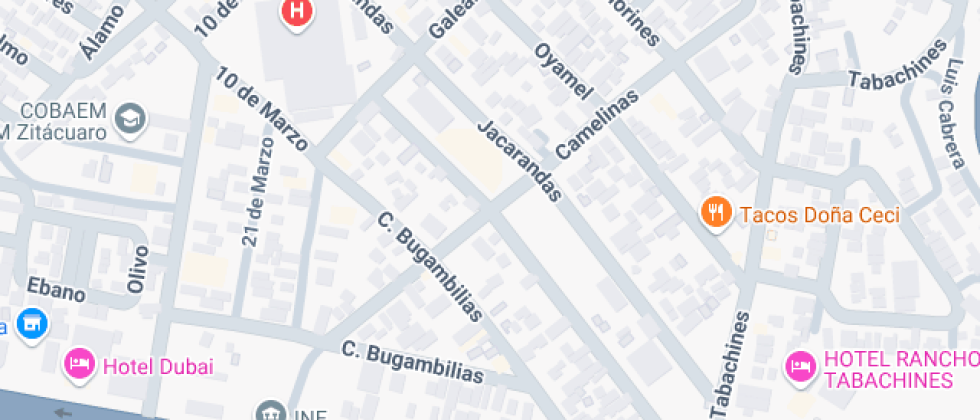 Michoacana Del Oriente