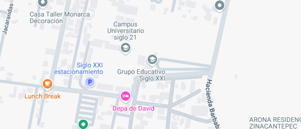 Para La Profesionalizacion Estrategica