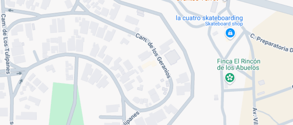 Universidad Tec Milenio