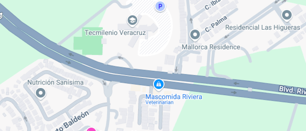 Tec Milenio Veracruz