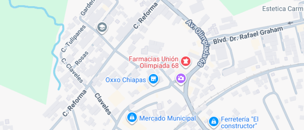Colegio Vicente Guerrero