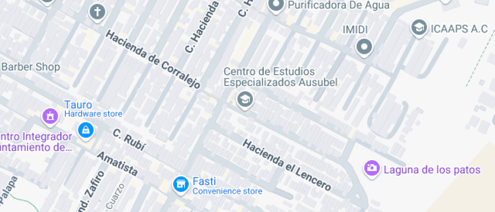 De Estudios Especializados Ausubel