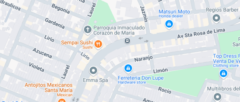 Salvador Dali Jardin de niños 