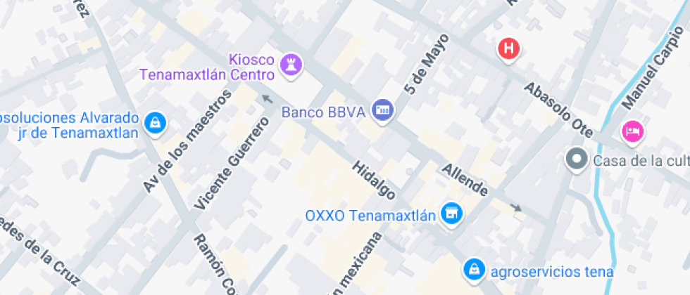 Colegio  Hidalgo 17A, Centro, 48570 Tenamaxtlán, Jal.