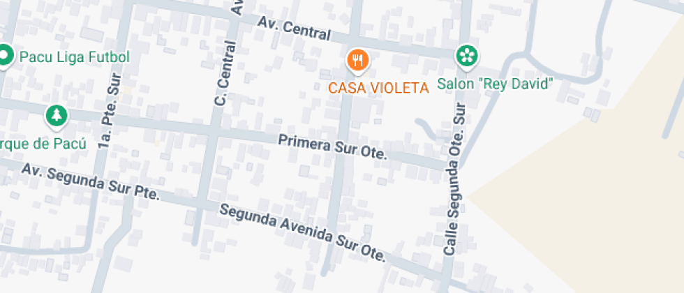 Investigaciones Y Posgrados Electorales