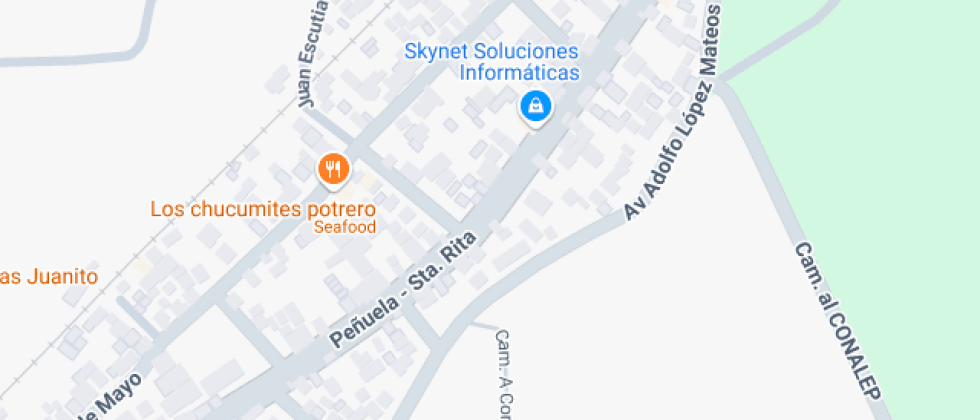 Profr. Fernando Dominguez Proy