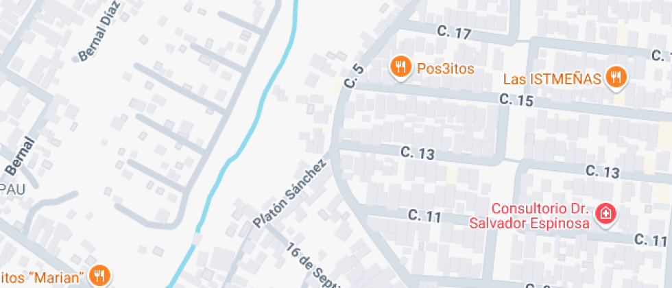 Profr. Francisco Errasquin Gomez