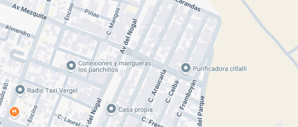 Rebeca Guillen Patino