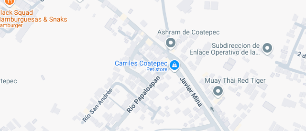 Johann Friedrich De Coatepec