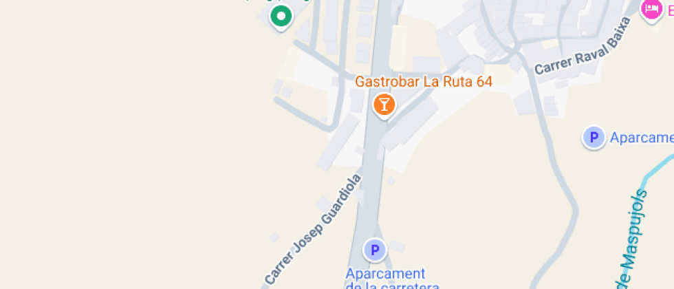 Teresa Salvat I Llauradó - Zer Baix Camp Nord