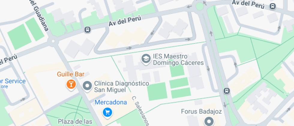 Maestro Domingo Cáceres