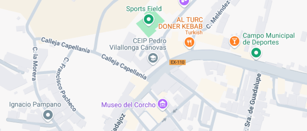 Pedro Villalonga Canovas