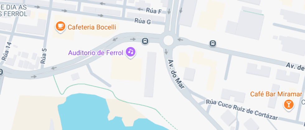 Profesional Xan Viaño