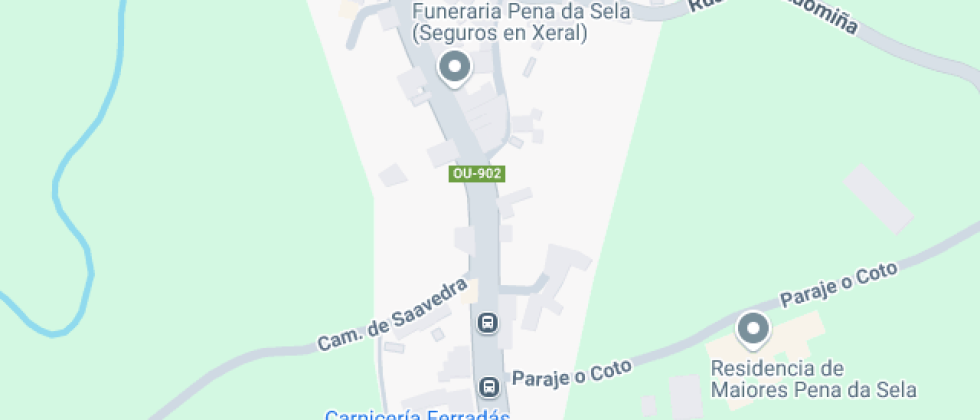 Virxe Da Pena Da Sela