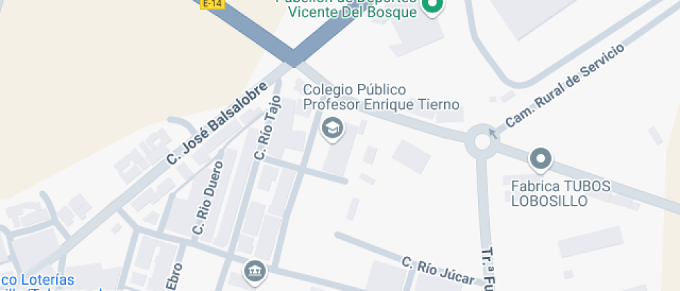 Profesor Enrique Tierno