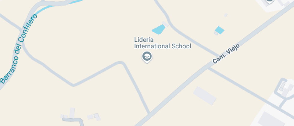 Lideria Internacional School