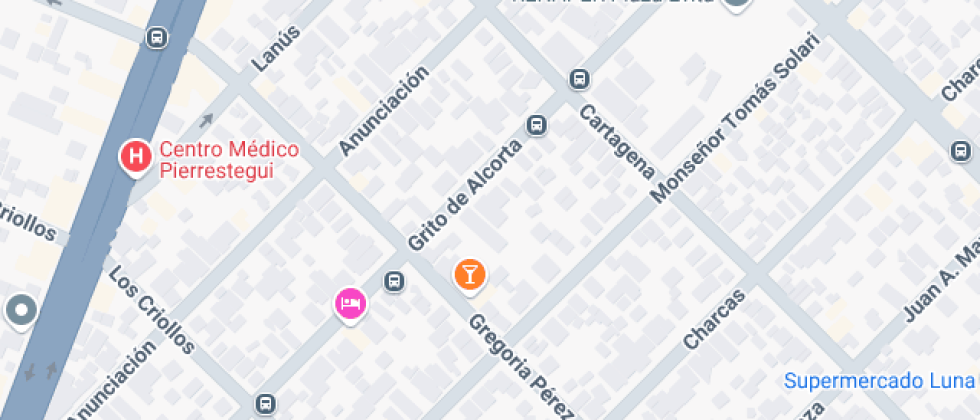 Profesora Virginia Gamba