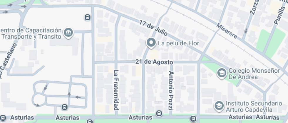 Instituto Instituto Arturo Capdevila