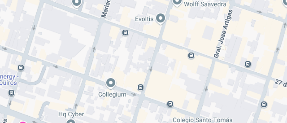  P/adultos William C.morris