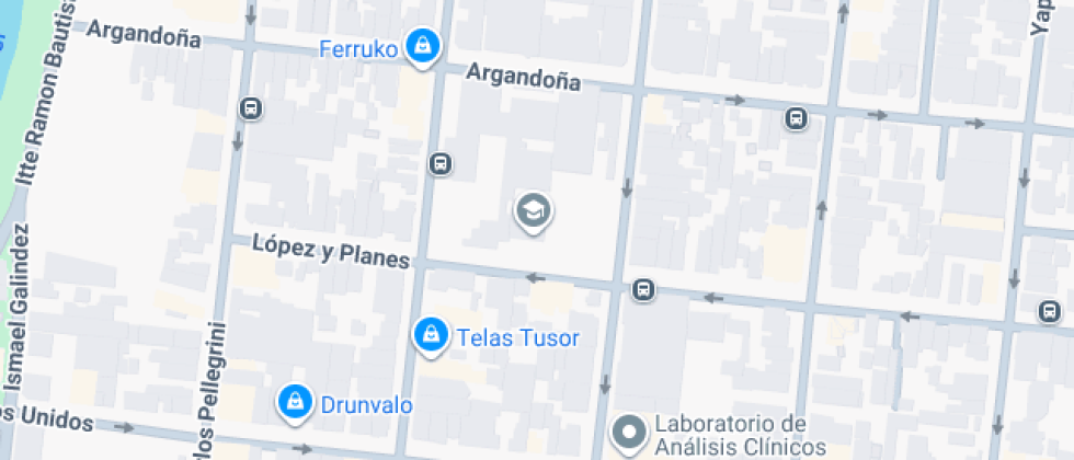 Instituto Instituto De Enseñanza Domingo Faustino Sarmiento (nivel Secundario Y Tecnico)