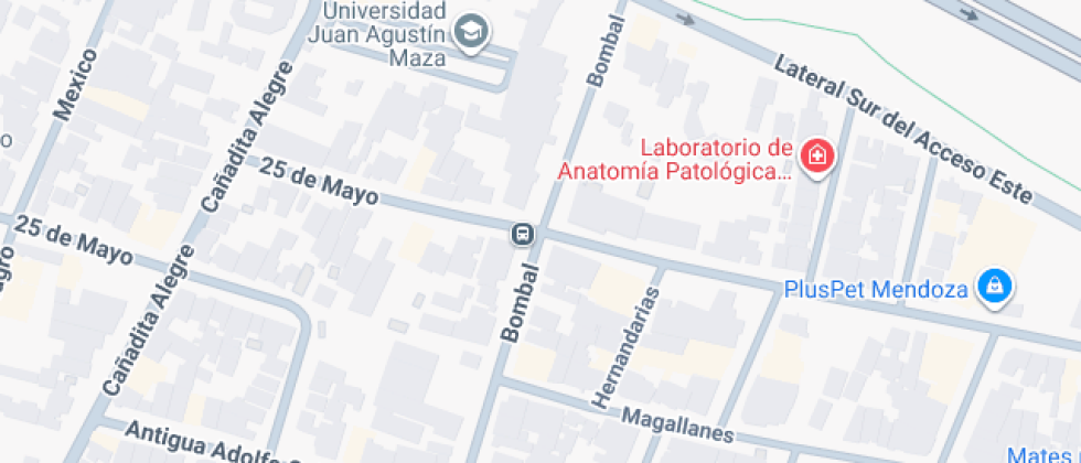 Instituto De La Universidad