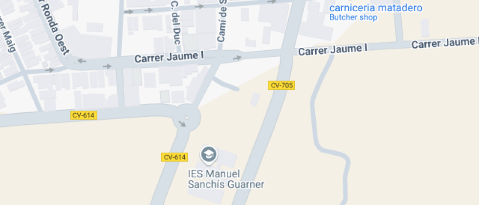 Manuel Sanchís Guarner