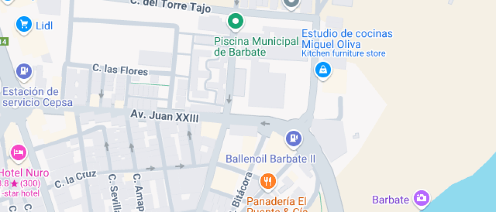 Francisco Giner De Los Ríos