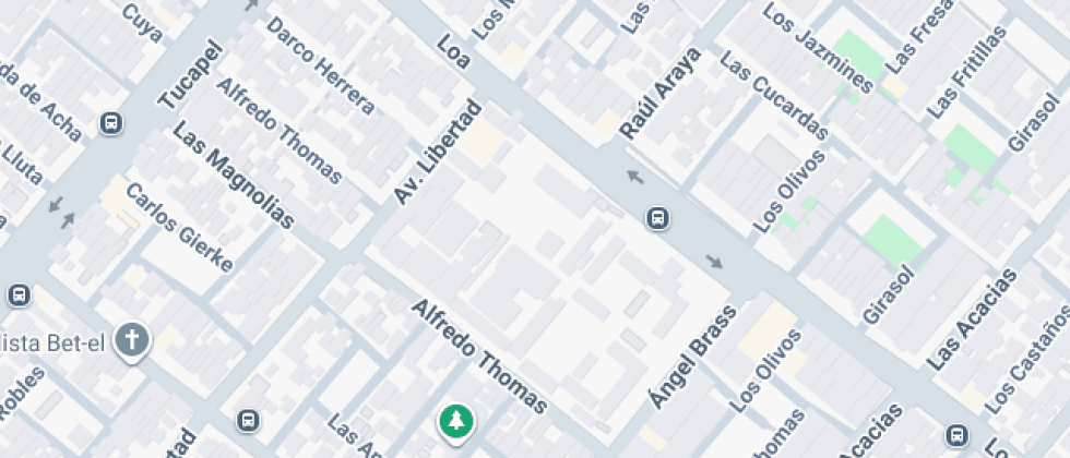 Liceo Técnico Profesional Antonio Varas De La Barra