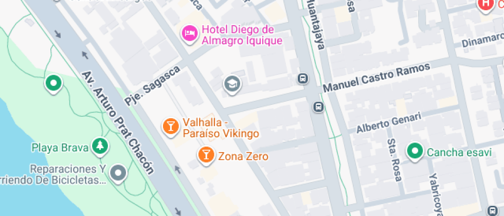 Profesor Manuel Castro Ramos