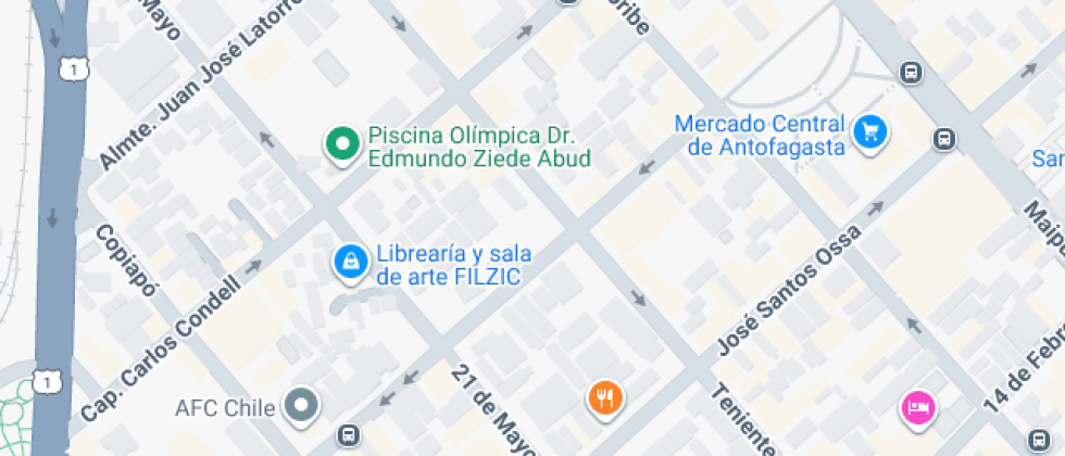 Profesora Ljubica Domic Wuth