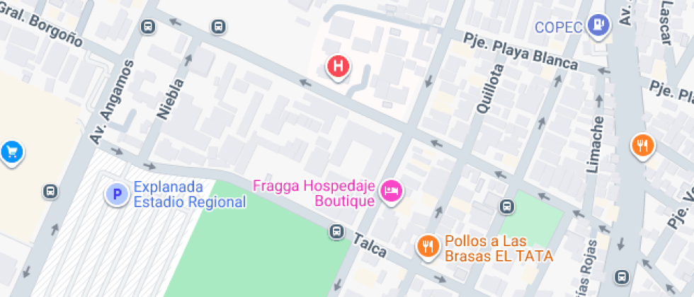 Artistico De Antofagasta `armando Carrera Gonzalez`