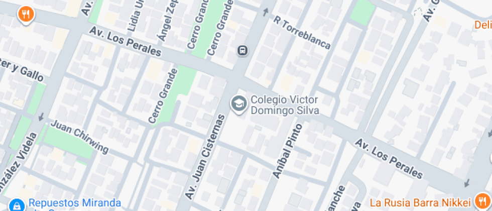 Víctor Domingo Silva