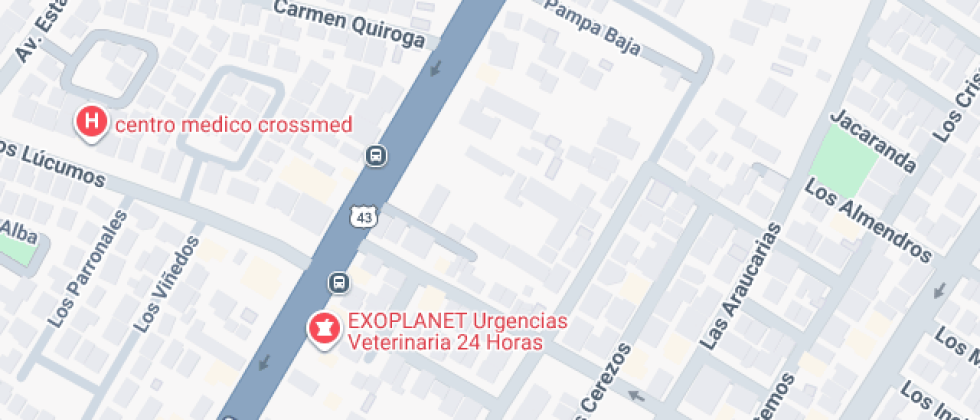 José Miguel Carrera 