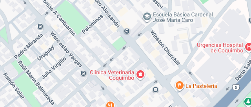 Cardenal José María Caro 