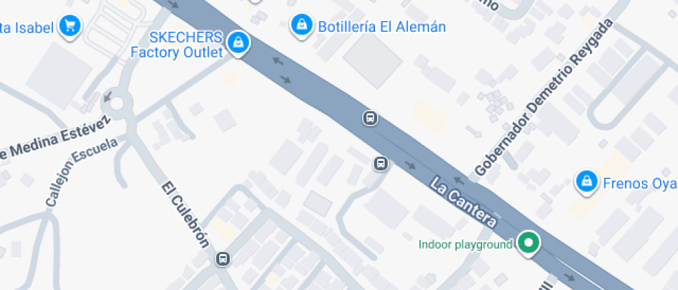 Lucila Godoy Alcayaga