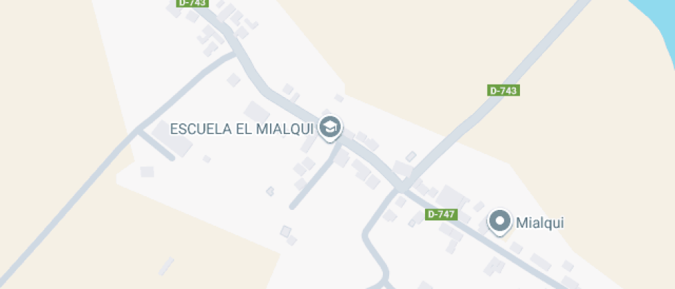 Profesor Manuel Ortíz Quintana