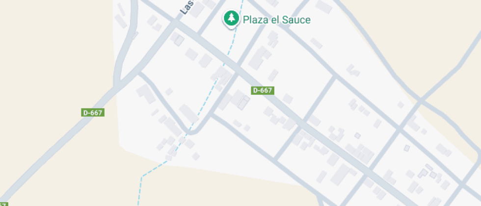 Rebeca Ponce De León 