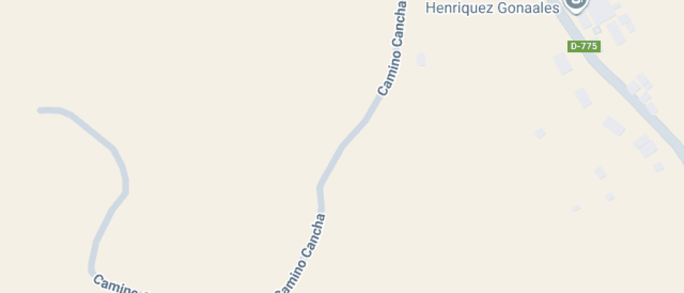 Camilo Henríquez González