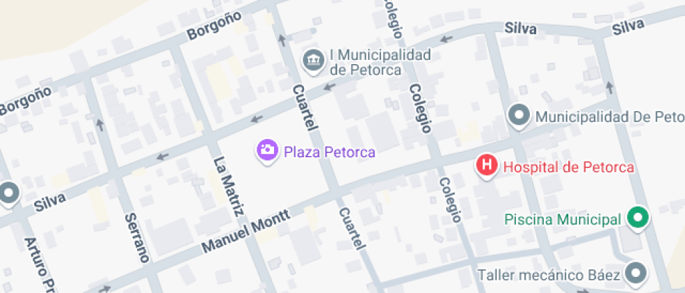 José Manuel Borgoño Núñez 