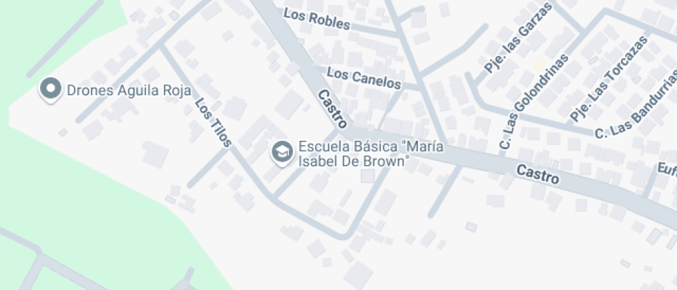 María Isabel De Brown