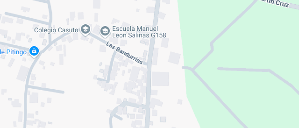 Manuel León Salinas