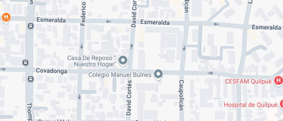 Artístico Guillermo Gronemeyer Zamorano