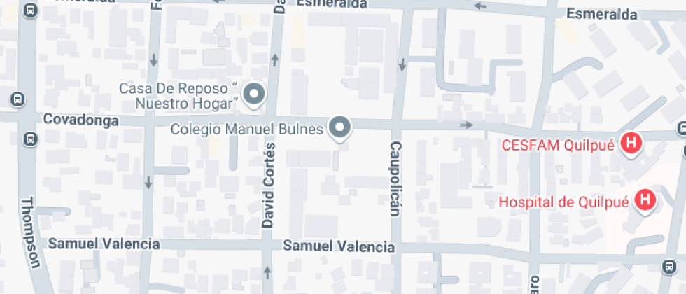 Manuel Bulnes Prieto