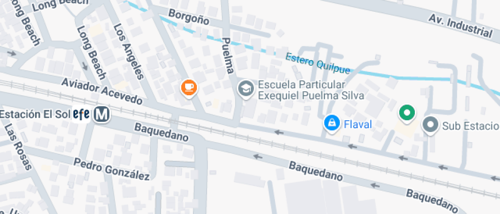 Exequiel Puelma Silva