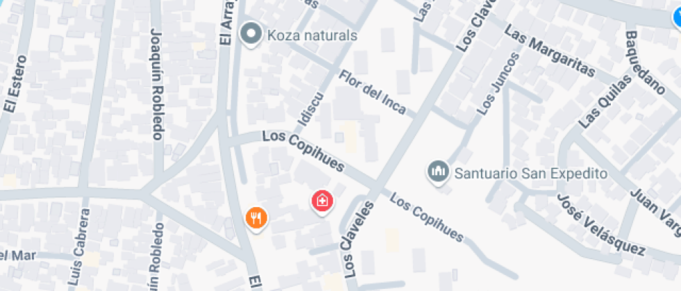 Profesor Pedro Viveros Ormeno