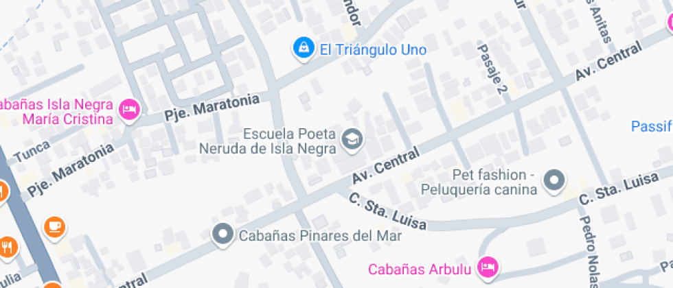 Poeta Neruda De Isla Negra