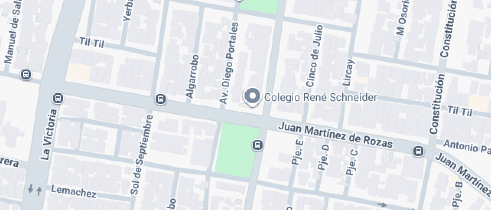 Rene Schneider Chereau