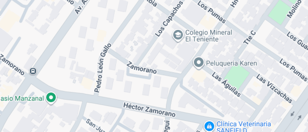 Municipal Mineral El Teniente