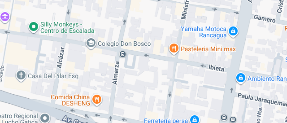 Particular Javiera Carrera